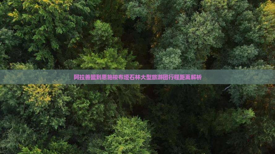 阿拉善盟到恩施梭布垭石林大型旅游团行程距离解析