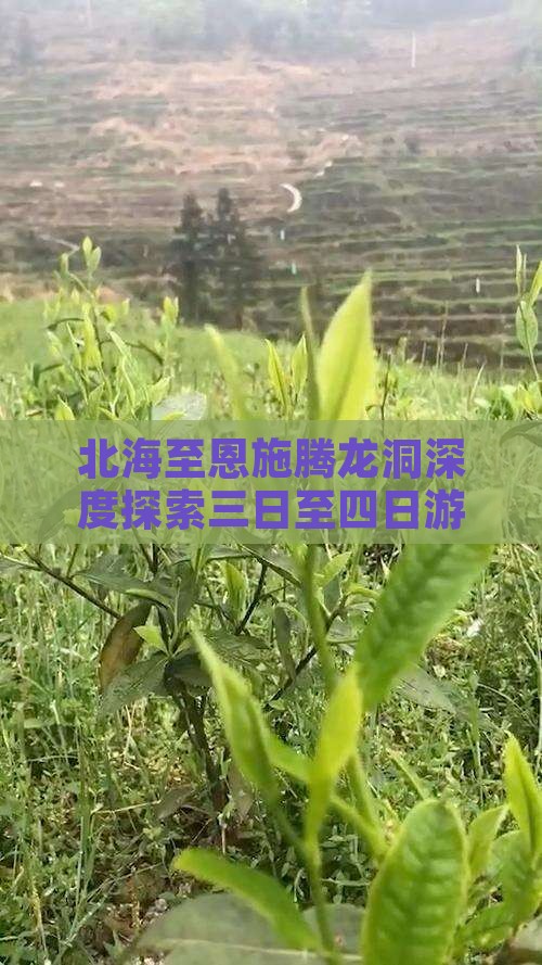 北海至恩施腾龙洞深度探索三日至四日游攻略