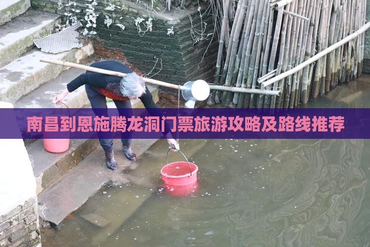 南昌到恩施腾龙洞门票旅游攻略及路线推荐