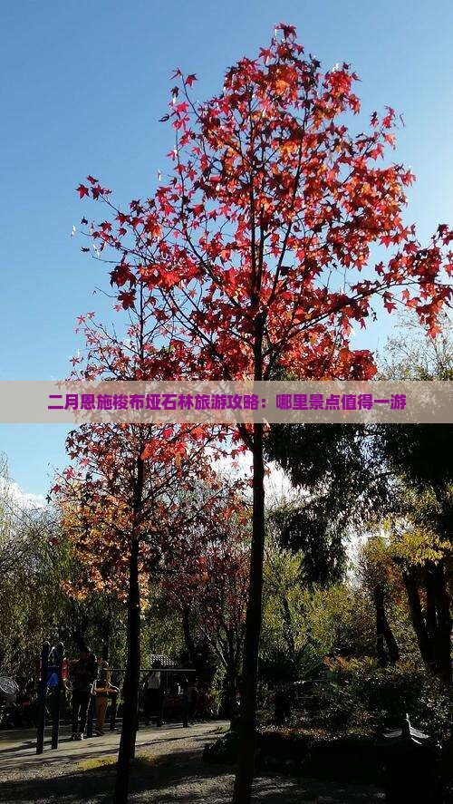 二月恩施梭布垭石林旅游攻略：哪里景点值得一游