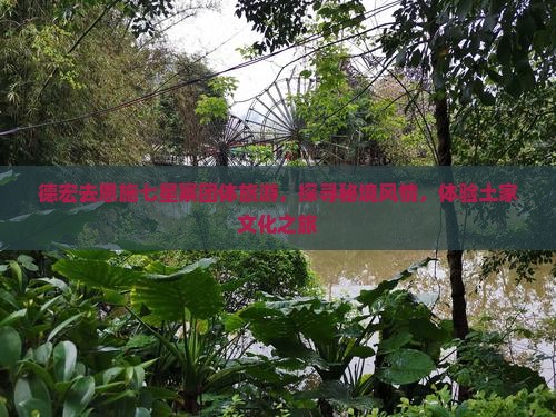 德宏去恩施七星寨团体旅游，探寻秘境风情，体验土家文化之旅