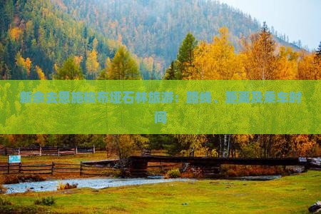 新余去恩施梭布垭石林旅游：路线、距离及乘车时间