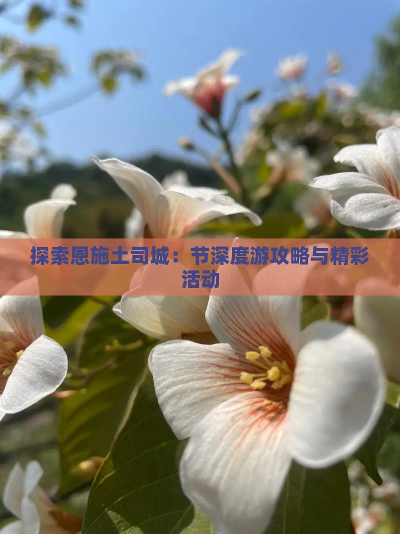 探索恩施土司城：节深度游攻略与精彩活动