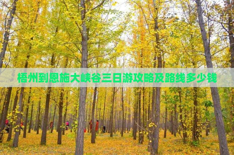 梧州到恩施大峡谷三日游攻略及路线多少钱