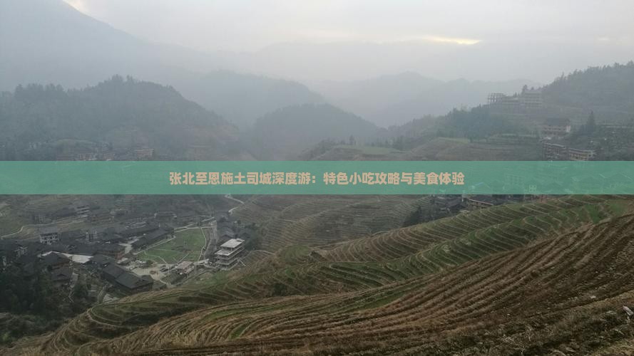 张北至恩施土司城深度游：特色小吃攻略与美食体验