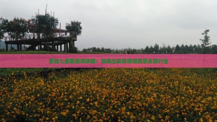 恩施七星寨旅游攻略：常德出发畅游绝美景点旅行全