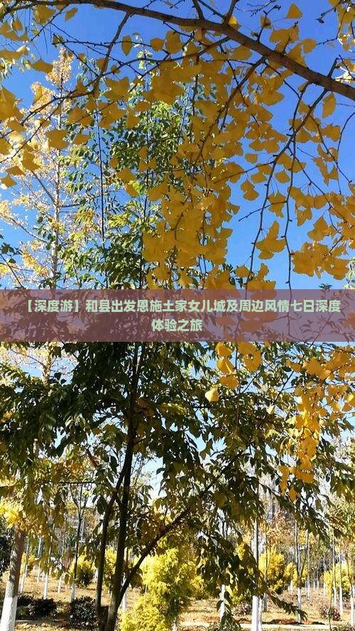 【深度游】和县出发恩施土家女儿城及周边风情七日深度体验之旅