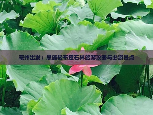 亳州出发：恩施梭布垭石林旅游攻略与必游景点