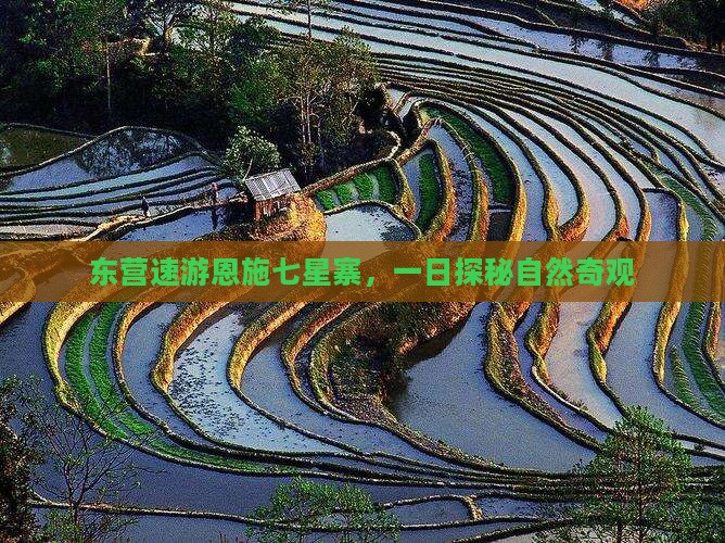 东营速游恩施七星寨，一日探秘自然奇观