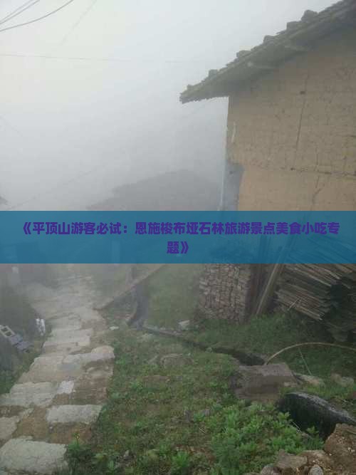 《平顶山游客必试：恩施梭布垭石林旅游景点美食小吃专题》