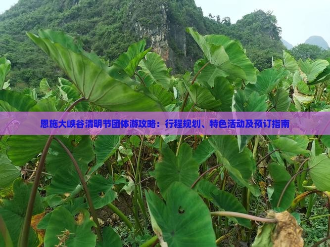 恩施大峡谷清明节团体游攻略：行程规划、特色活动及预订指南