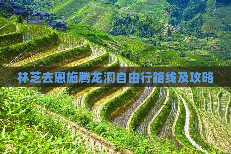 林芝去恩施腾龙洞自由行路线及攻略