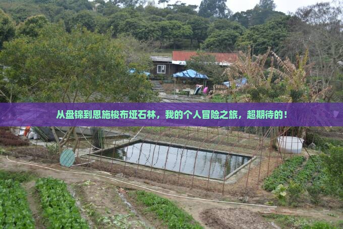 盘锦去恩施梭布垭石林个人游