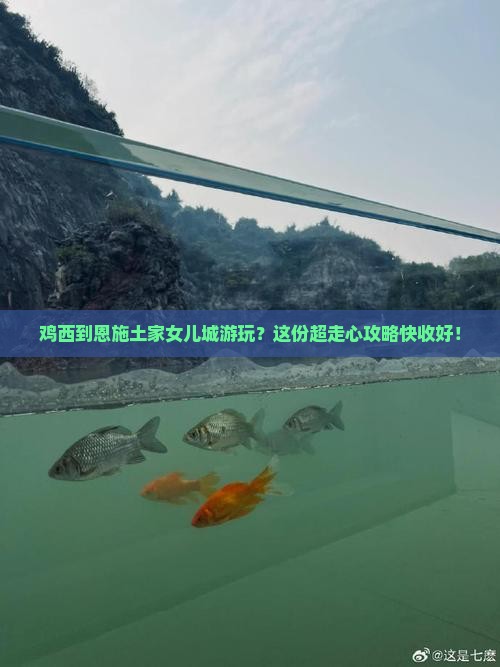 鸡西去恩施土家女儿城攻略