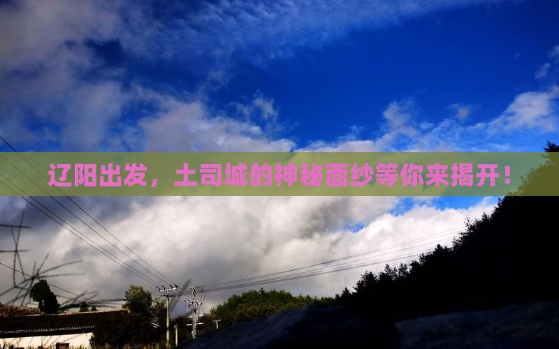 辽阳去恩施土司城团体旅游
