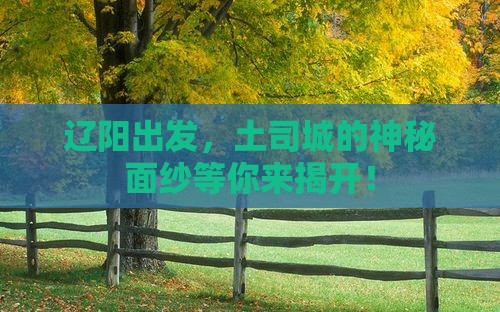 辽阳去恩施土司城团体旅游