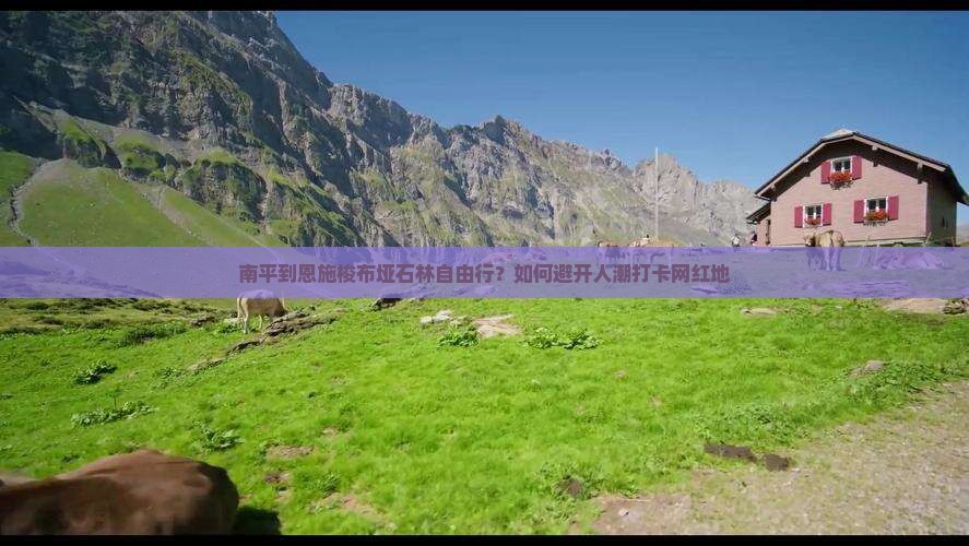 南平到恩施梭布垭石林自由行