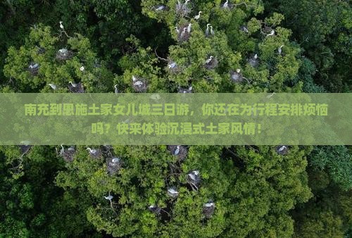 南充到恩施土家女儿城三日游