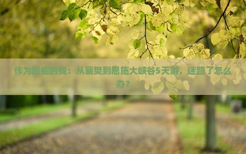 襄樊到恩施大峡谷五日游