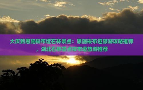大庆到恩施梭布垭石林景点
