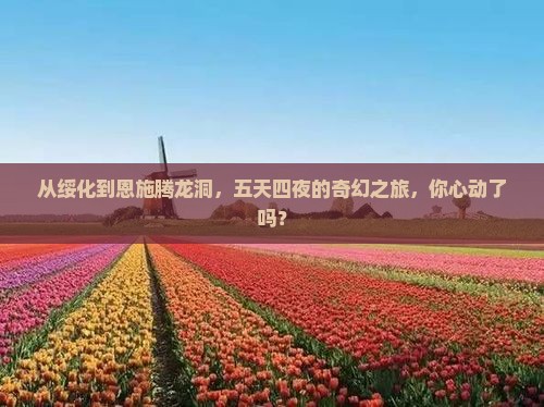 绥化去恩施腾龙洞五日游
