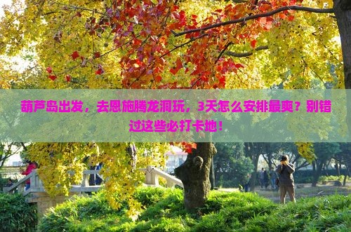 葫芦岛到恩施腾龙洞必去地