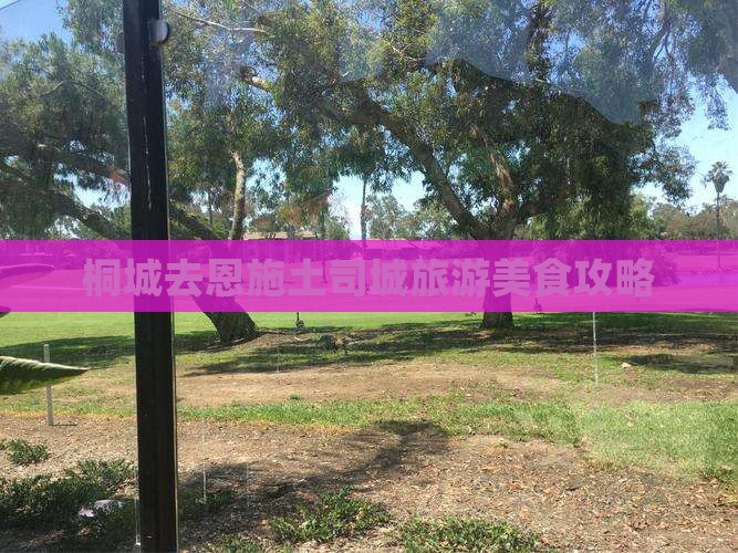 桐城去恩施土司城旅游小吃