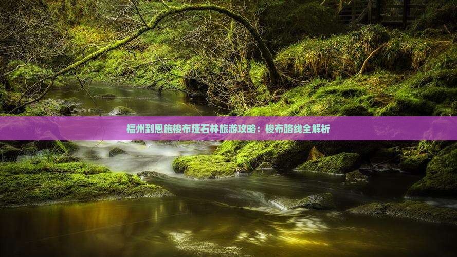 福州到恩施梭布垭石林攻略