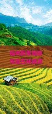 福州到恩施梭布垭石林攻略