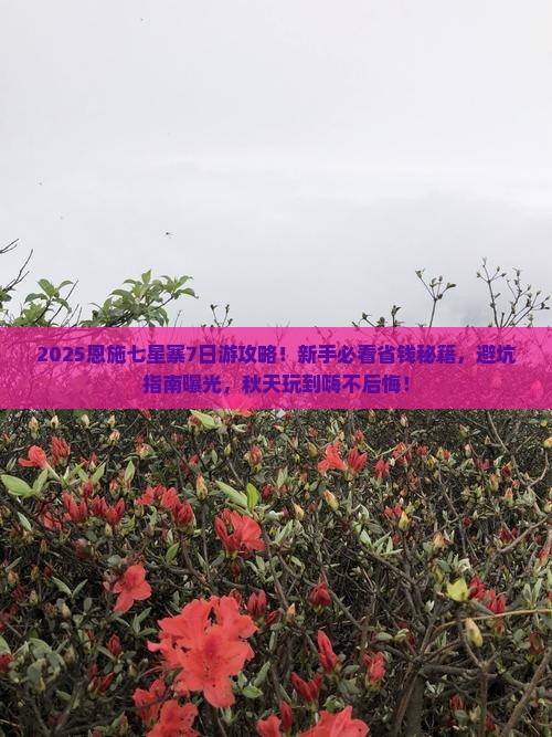 秋天去恩施七星寨七日游