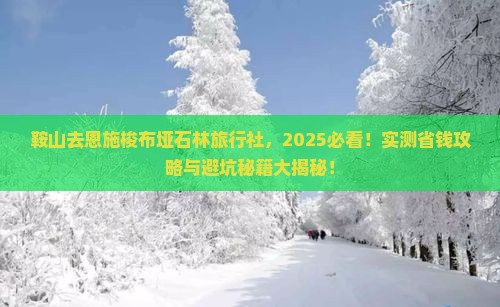 鞍山去恩施梭布垭石林旅行社
