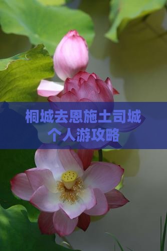 桐城去恩施土司城个人游