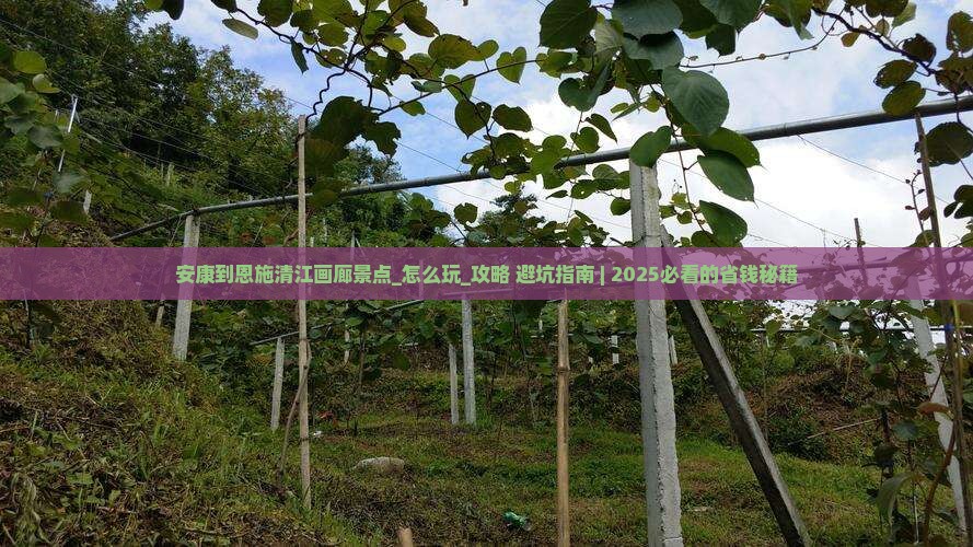 安康到恩施清江画廊景点