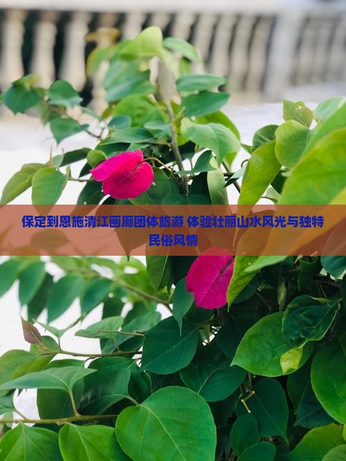 保定到恩施清江画廊团体旅游