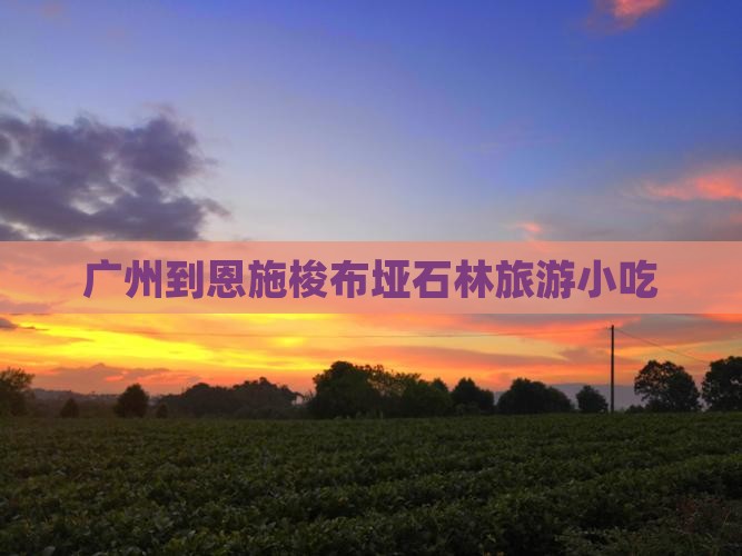 广州到恩施梭布垭石林旅游小吃