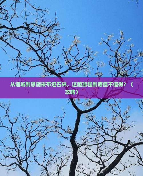 诸城到恩施梭布垭石林旅游
