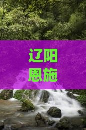 辽阳去恩施腾龙洞自由团