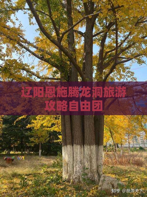 辽阳去恩施腾龙洞自由团