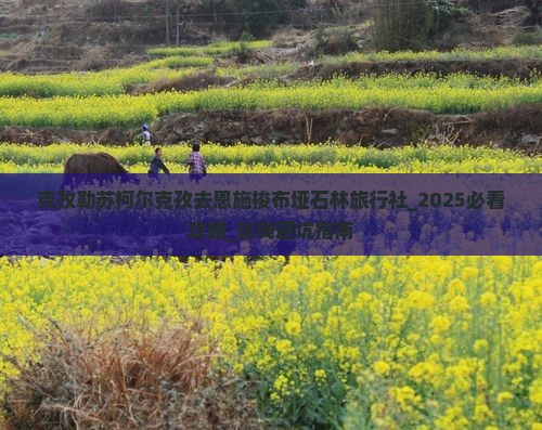 克孜勒苏柯尔克孜去恩施梭布垭石林旅行社