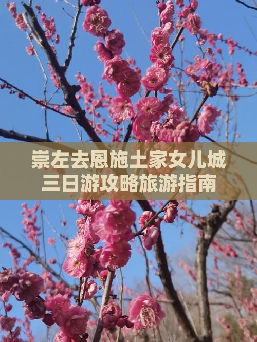 崇左去恩施土家女儿城三日游