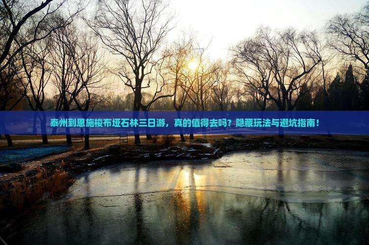 泰州到恩施梭布垭石林三日游