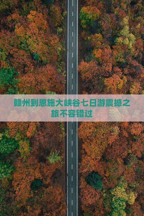 赣州到恩施大峡谷七日游