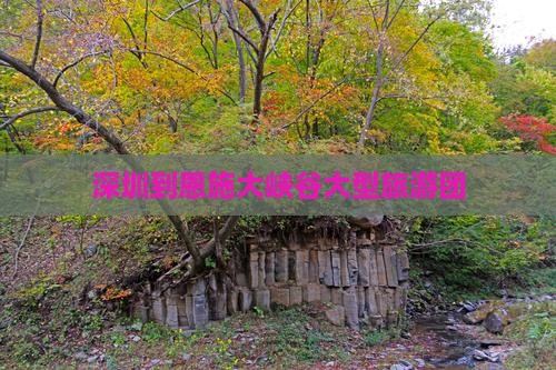 深圳到恩施大峡谷大型旅游团
