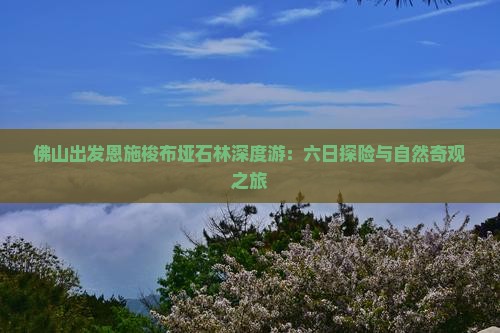 佛山出发恩施梭布垭石林深度游：六日探险与自然奇观之旅