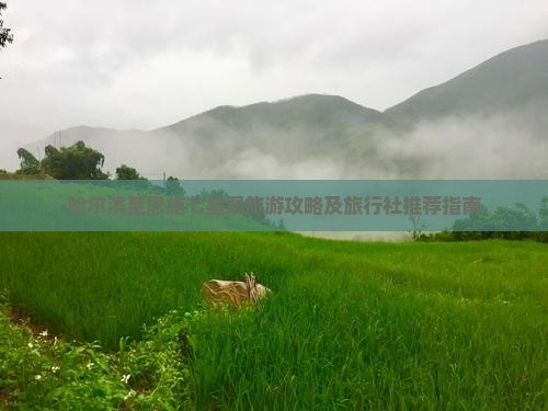 哈尔滨至恩施七星寨旅游攻略及旅行社推荐指南
