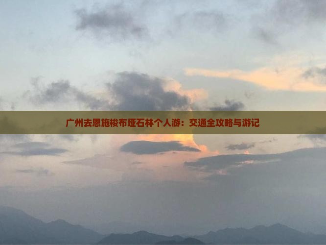 广州去恩施梭布垭石林个人游：交通全攻略与游记