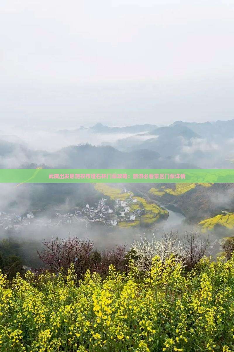 武威出发恩施梭布垭石林门票攻略:旅游必看景区门票详情 武威出发恩施梭布垭石林门票攻略:旅游必看景区门票详情