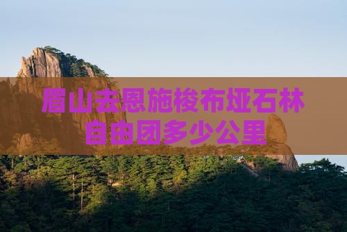 眉山去恩施梭布垭石林自由团多少公里