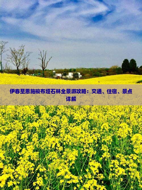 伊春至恩施梭布垭石林全景游攻略：交通、住宿、景点详解