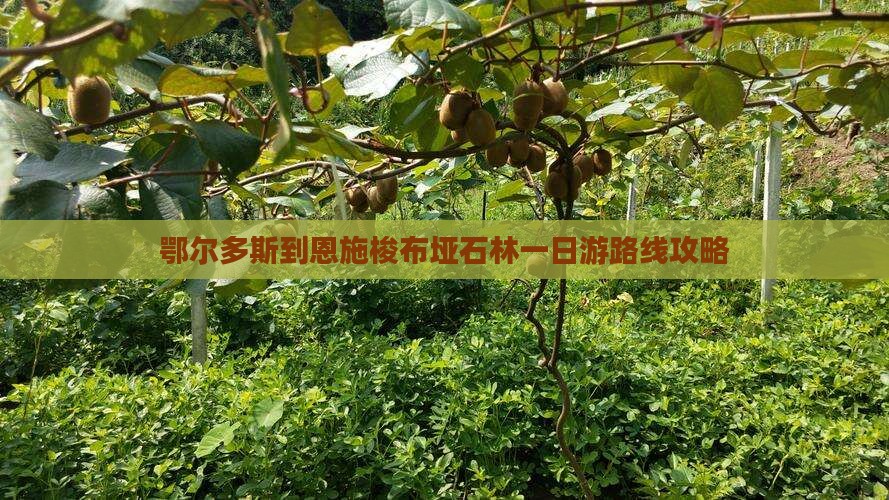 鄂尔多斯到恩施梭布垭石林一日游路线攻略